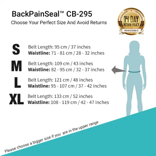 BackPainSeal™ CB-295 Auto-Inflatable Spinal Decompression Belt for Pinched Nerve, Herniated Disc and Lower Back Pain (Premium Luxury Edition) 1